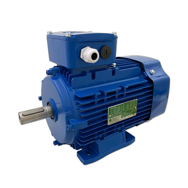 005 Electric Motor